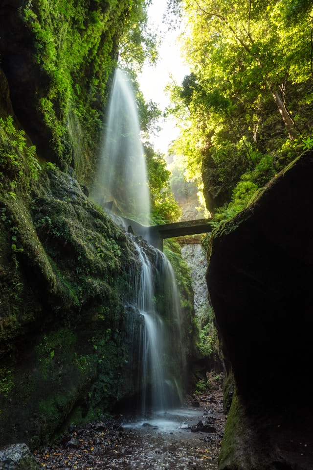 Testing placeholder image